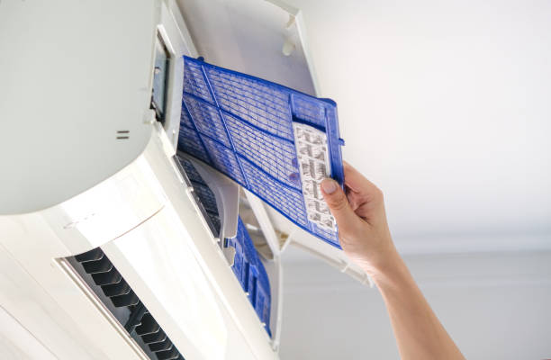 Best Home Air Vent Cleaning  in Timberville, VA