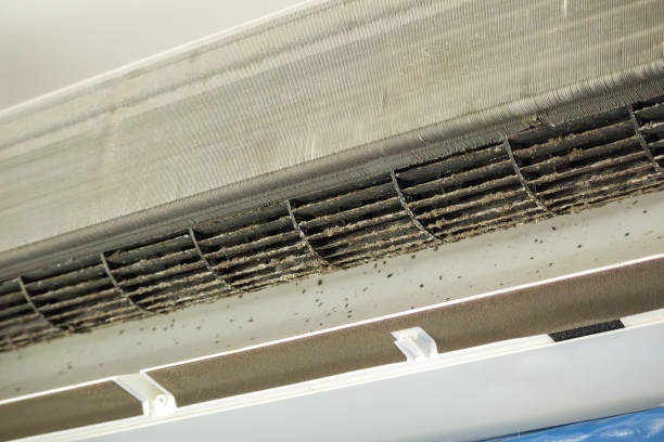 Best Local Air Duct Cleaning Services  in Timberville, VA